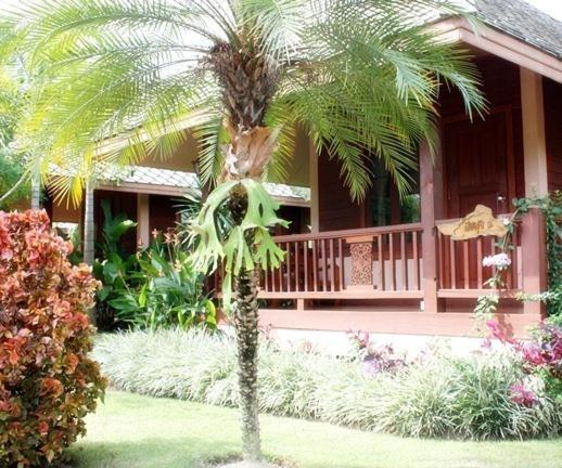 Pai Herbs Resort الغرفة الصورة