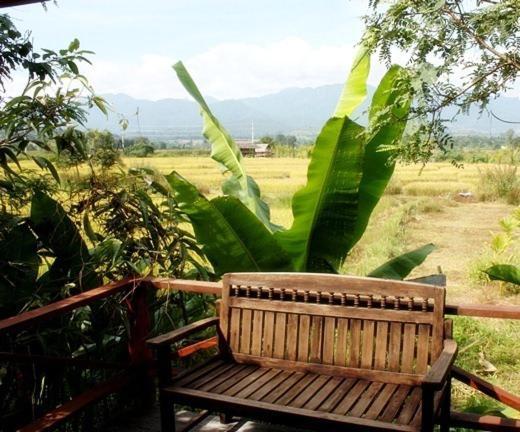 Pai Herbs Resort الغرفة الصورة